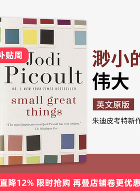 渺小的伟大 Small Great Things 英文原版书 进口原版英语书籍 姐姐的守护者作者 美国当代畅销书作家朱迪皮考特 Jodi Picoult