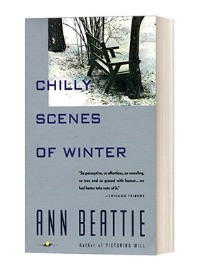 英文原版小说 Chilly Scenes of Winter 萧瑟冬景 Ann Beattie 英文版 Vintage Contemporaries 进口英语原版书籍