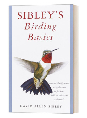 英文原版 Sibley's Birding Basics Sibley Guides 西布利观鸟指南 观鸟者的宝典 英文版 进口英语原版书籍