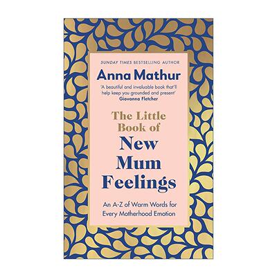 英文原版 The Little Book of New Mum Feelings 新手妈妈情绪小书 精装 英文版 进口英语原版书籍