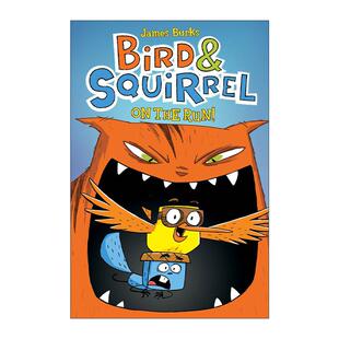 Squirrel 书籍 进口英语原版 儿童漫画小说 Bird 儿童课外阅读 the 英文版 英文原版 Run 全彩漫画 小鸟与松鼠1