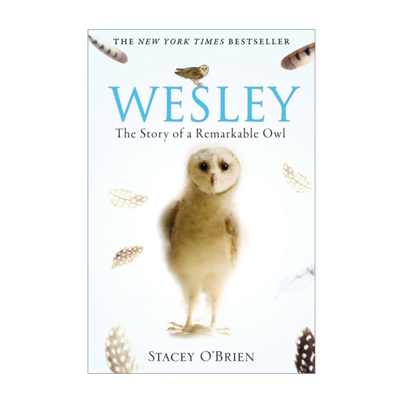 Wesley 韦斯利 一只了不起的猫头鹰的故事进口原版英文书籍