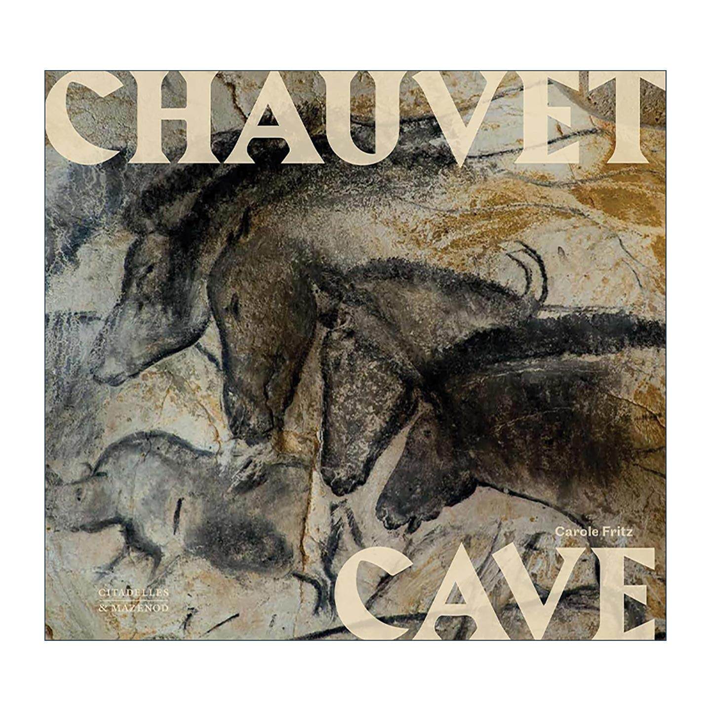 英文原版 Chauvet Cave Humanity's First Great Masterpiece 肖维洞穴 史前壁画 人类的伟大杰作 艺术画册精装 进口英语原版书籍