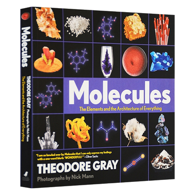 视觉之旅 化学世界的分子奥秘 Molecules The Elements and the Architecture of Everything 英文原版 分子 一切的要素和架构