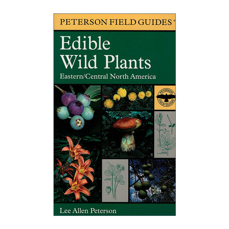 英文原版 A Peterson Field Guide to Edible Wild Plants 皮特森图鉴之北美东部 中部的野生植物 英文版 进口英语原版书籍