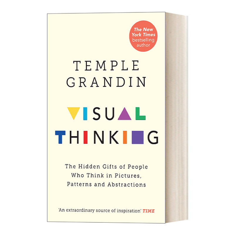 The Visual Thinker 视觉思维 用图片、图案和抽象概念思考的人的隐藏天赋进口原版英文书籍