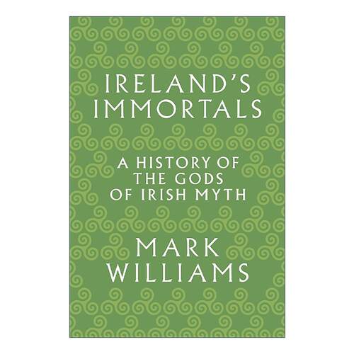英文原版 Ireland's Immortals 爱尔兰的神 爱尔兰神话中神的历史 中世纪 凯尔特 牛津大学研究员Mark Williams 进口英语原版书籍