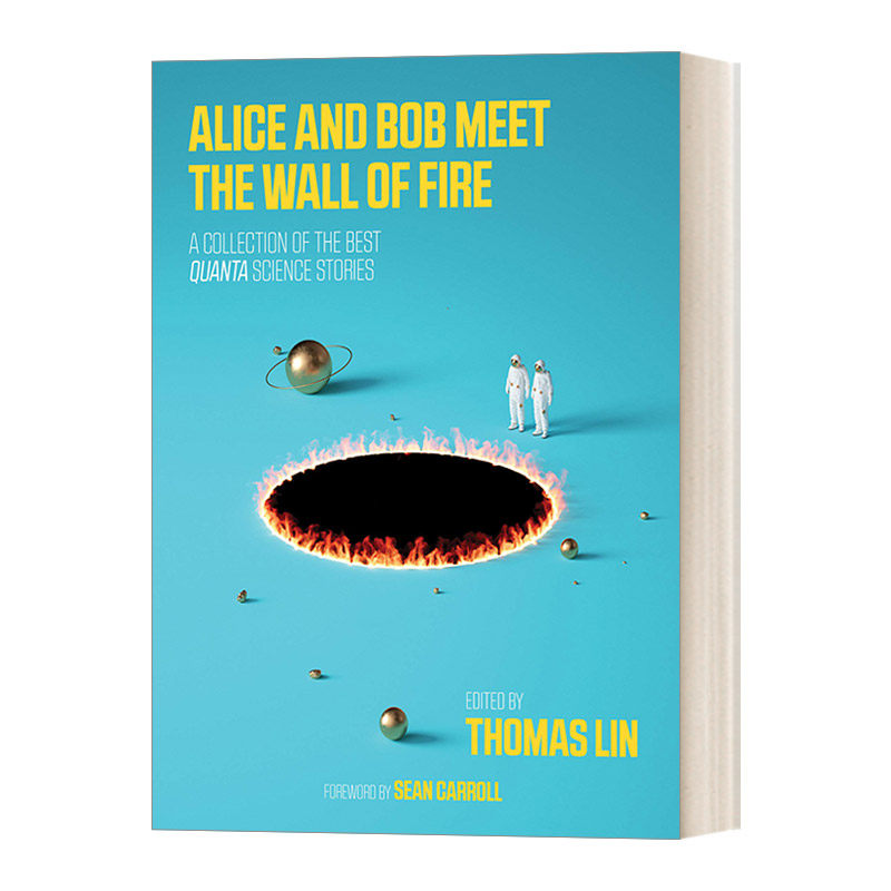 英文原版 Alice and Bob Meet the Wall of Fire 爱丽丝和鲍勃遇到了火墙 来自量子的最伟大的科学思想 英文版 进口英语原版书籍