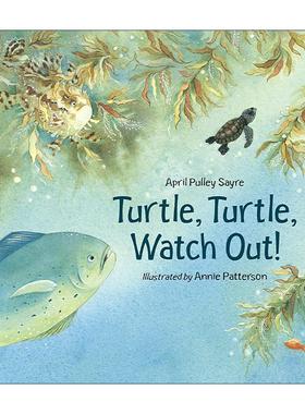 英文原版 Turtle Turtle Watch Out 乌龟 小心 儿童绘本 人与自然 April Pulley Sayre 英文版 进口英语原版书籍
