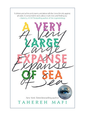 英文原版 A Very Large Expanse of Sea 广阔无垠的大海 摧毁我系列作者Tahereh Mafi 畅销青少年小说 进口英语原版书籍