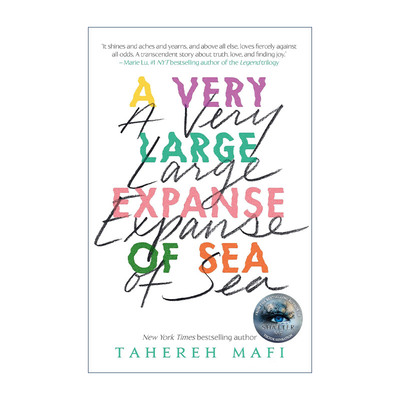 英文原版 A Very Large Expanse of Sea 广阔无垠的大海 摧毁我系列作者Tahereh Mafi 畅销青少年小说 进口英语原版书籍