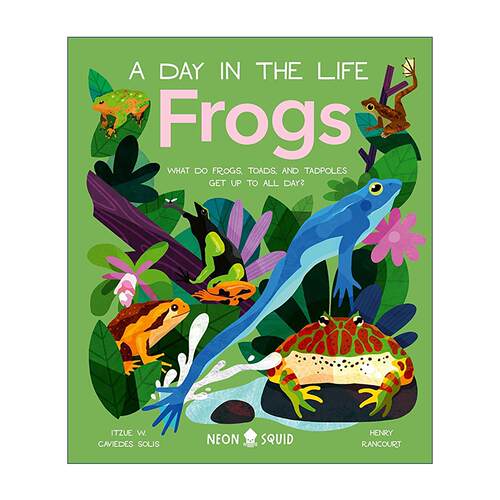 英文原版 Frogs 生活中的一天之青蛙 精装科普读本 英文版 进口英语原版书籍