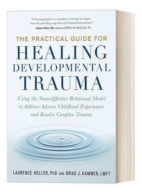 英文原版 The Practical Guide for Healing Developmental Trauma 治疗发育性创伤的实用指南 心理治疗 英文版 进口英语原版书籍
