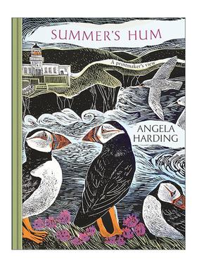 英文原版 Summer's Hum 季节版画四部曲 夏之絮语 艺术自然插画设定集精装 Angela Harding 英文版 进口英语原版书籍