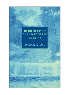 英文原版In the Heart of the Heart of the Country New York Review Books Classics在中部地区的深处短篇小说集 William H Gass