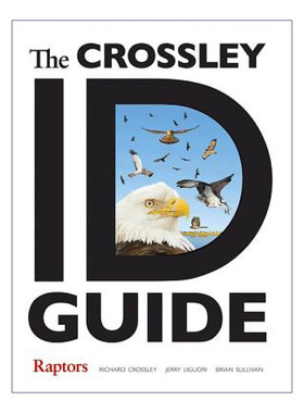 英文原版 The Crossley ID Guide 克罗斯利鸟类图鉴 猛禽 彩色插图版 观鸟指南 Richard Crossley 英文版 进口英语原版书籍