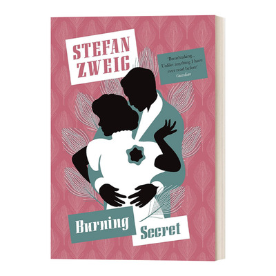 英文原版 The burning secret Pushkin Press 燃烧的秘密 Pushkin收藏系列 Stefan Zwei斯蒂芬茨威格 英文版 进口英语原版书籍