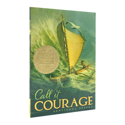 Call it Courage 你那样勇敢 1941纽伯瑞金奖 蓝思830L 3-7年级进口原版英文书籍