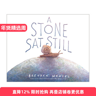 英文原版 A Stone Sat Still 石头一动也不动 凯迪克奖得主布兰登·文策尔 英文版 进口原版英文书籍
