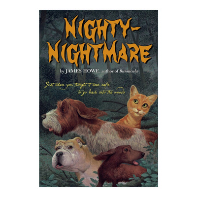 Nighty-Nightmare 兔古拉和朋友们系列 噩梦进口原版英文书籍