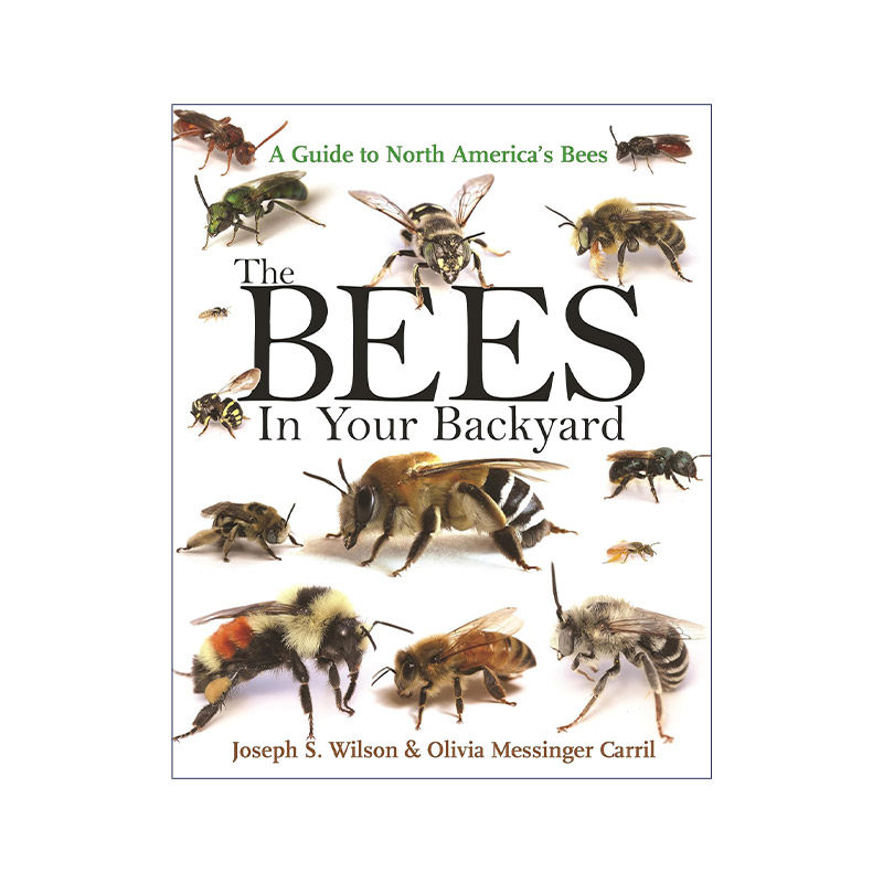 英文原版 The Bees in Your Backyard 后院的蜜蜂 北美蜜蜂指南 Joseph S. Wilson 英文版 进口英语原版书籍