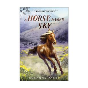 英文版 书籍 Named 荒野之声系列 生存故事 野马 Horse Sky 进口英语原版 英文原版 动物主题插图小说