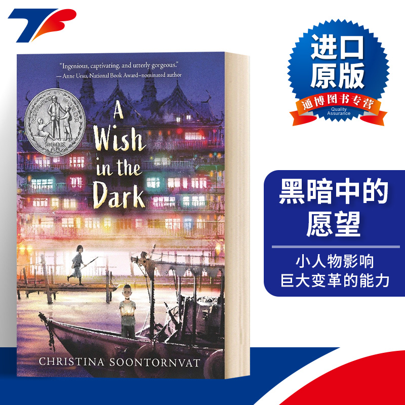 英文原版黑暗中的愿望