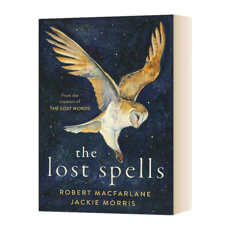 The Lost Spells迷失的咒语 精装进口原版英文书籍