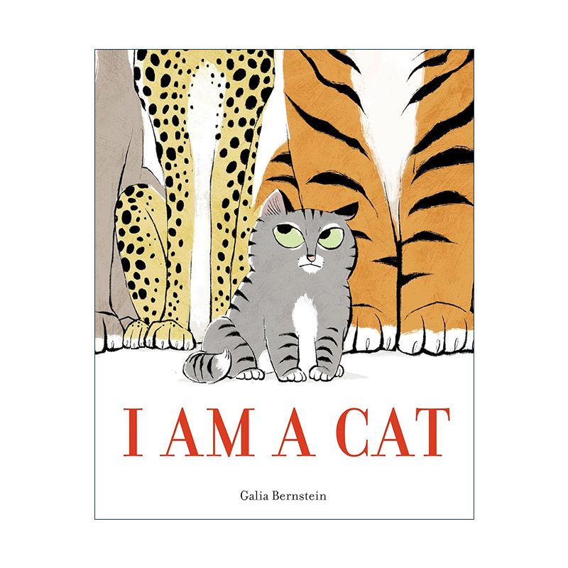 英文原版 I Am a Cat 我是一只猫 儿童精装绘本 Galia Bernstein加利亚·伯恩斯坦 英文版 进口英语原版书籍
