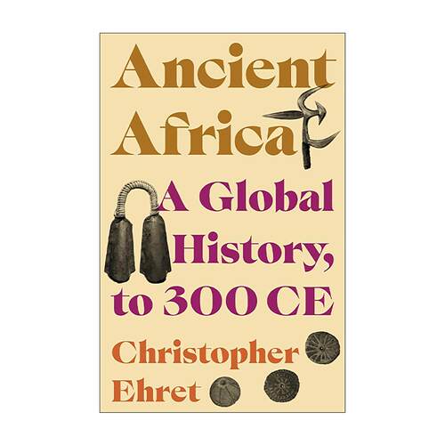 英文原版 Ancient Africa 古非洲 至公元300年的全球史 普林斯顿 英文版 进口英语原版书籍