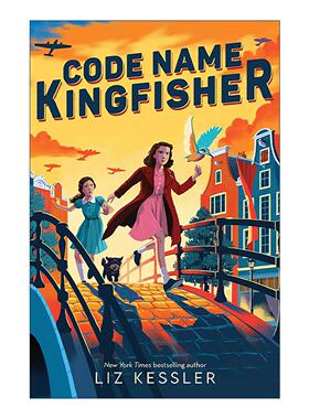 英文原版 Code Name Kingfisher 代号翠鸟 儿童历史小说 英文版 进口英语原版书籍