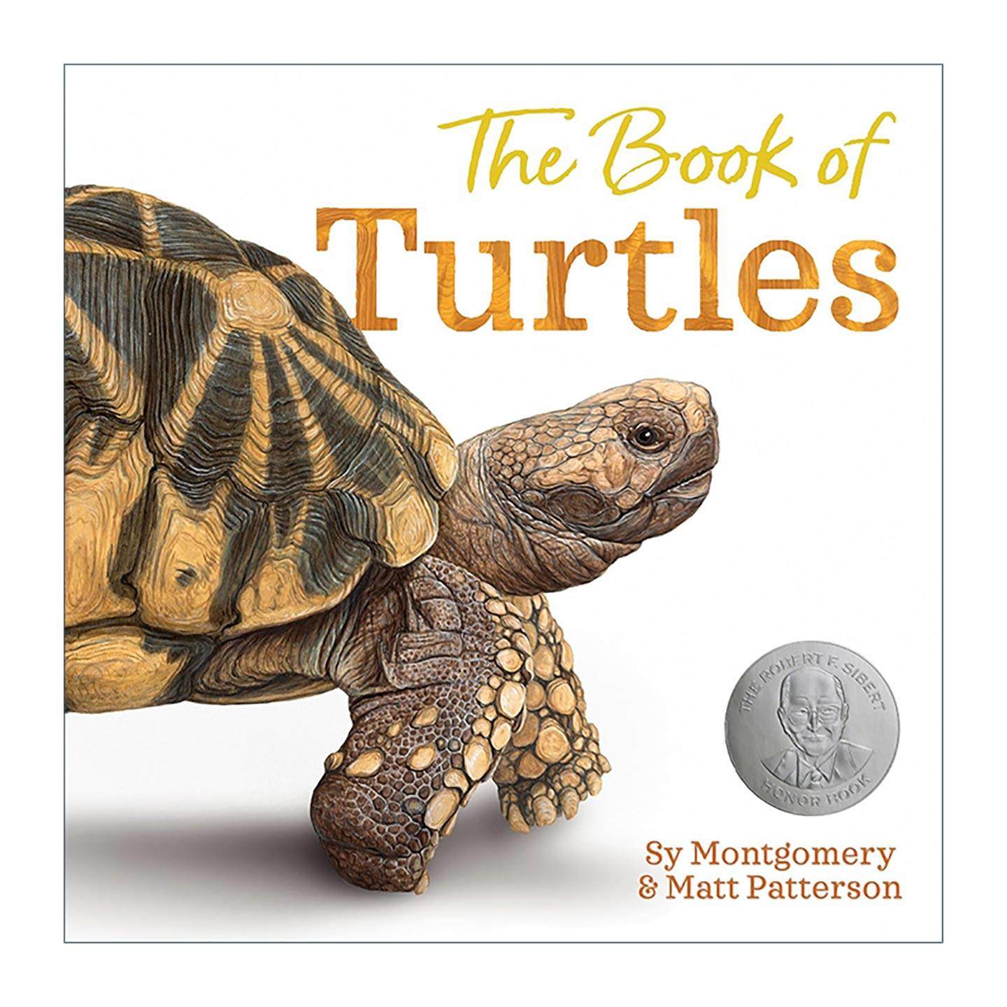 英文原版 The Book of Turtles 乌龟之书 精装 西伯特银奖 美国图书馆协会推荐童书 英文版 进口英语原版书籍