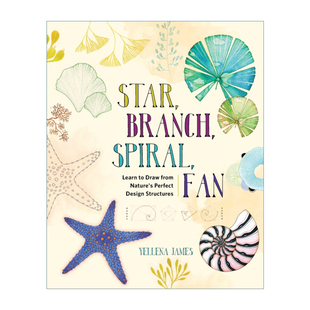 英文原版 Star Branch Spiral Fan Learn to Draw from Nature's Perfect Design Structures从大自然结构中汲取灵感 进口英语书