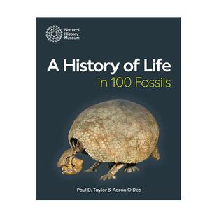 英文原版 A History of Life in 100 Fossils 化石知道生命的旅程 写在100件化石中的生命演化史 精装 英文版 进口英语原版书籍