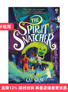 英文原版 The Spirit Snatcher 灵魂捕手 青少年奇幻神秘小说读物 英文版 进口英语原版书籍