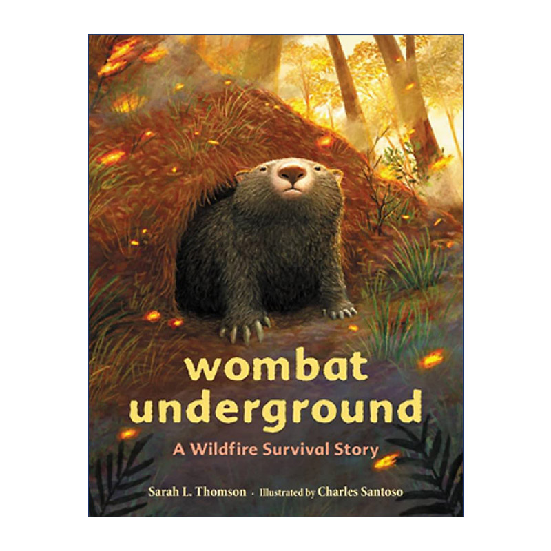 Wombat Underground 袋熊的地下洞穴 山火生存动物故事精装绘本进口原版英文书籍