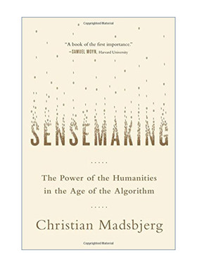 Sensemaking 意会 算法时代的人文力量 精装进口原版英文书籍
