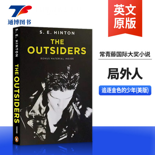 英文原版小说追逐金色的少年