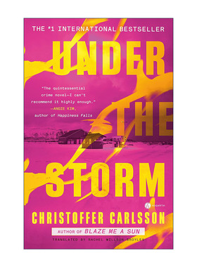 英文原版 Under the Storm 风暴之下 推理悬疑小说 Christoffer Carlsson 英文版 进口英语原版书籍