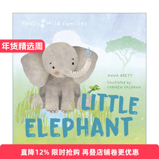 英文原版 Little Elephant A Day in the Life of a Elephant Calf 小象的一天 儿童动物精装绘本 Really Wild Families 进口书籍