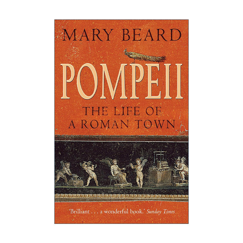 英文原版 Pompeii 庞贝 一座罗马城市的生与死 沃尔夫森历史奖 玛丽&middot;比尔德 英文版 进口英语原版书籍