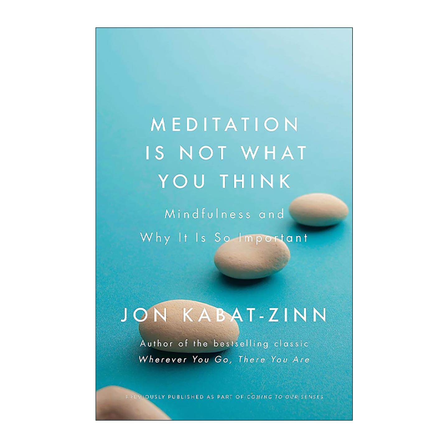英文原版 Meditation is Not What You Think 正念地活 拥抱当下的力量 乔恩·卡巴金 英文版 进口英语原版书籍