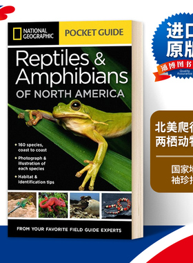 英文原版 National Geographic Pocket Guide to Reptiles and Amphibians of North America 国家地理北美爬行动物和两栖动物袖珍