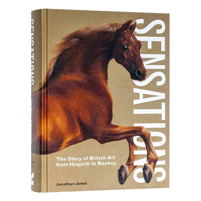 Sensations 轰动:英国艺术的故事,从霍加斯到班克西进口原版英文书籍