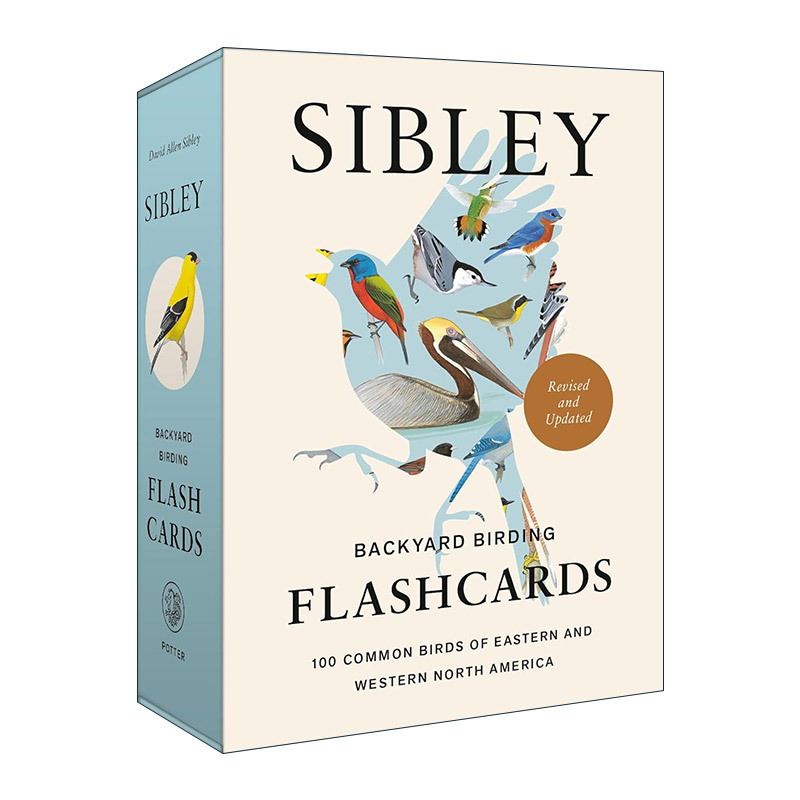 英文原版 Sibley Backyard Birding Flashcards Revised and Updated 西布利后院观鸟抽认卡 修订更新版 北美东西部100种常见鸟类