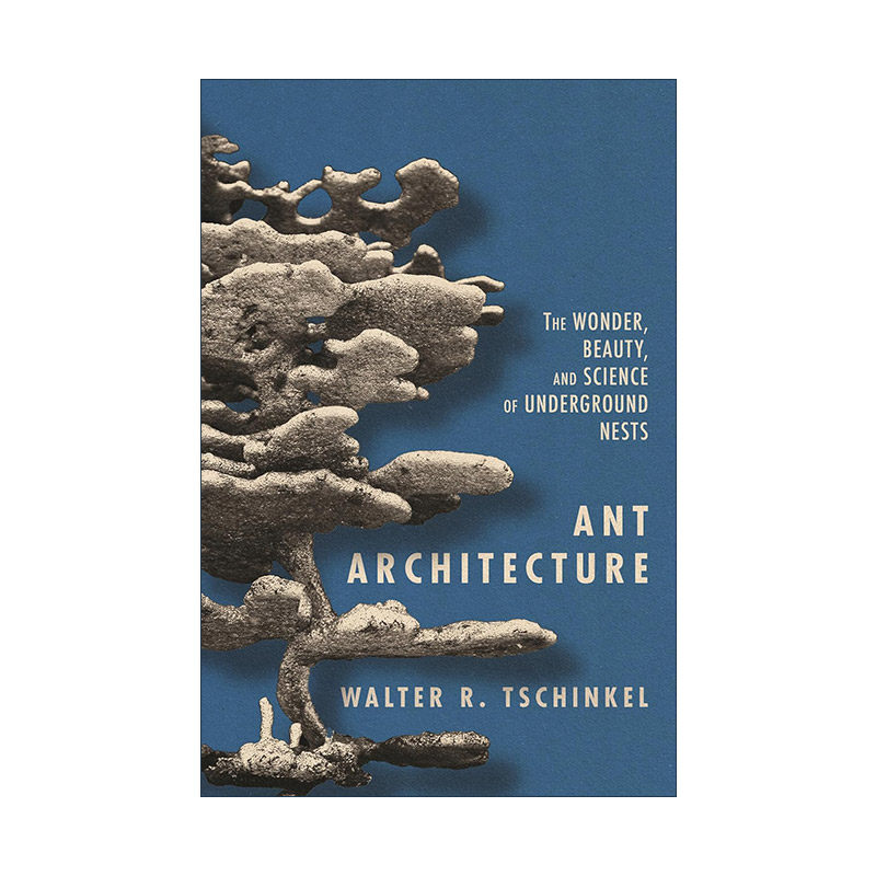 英文原版 Ant Architecture 蚂蚁建筑学 地下巢穴的奇妙 魅力和科学 Walter R. Tschinkel 精装英文版 进口英语原版书籍