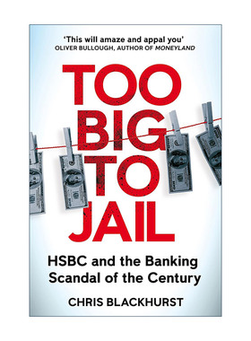 英文原版 Too Big to Jail 汇丰全球大案 大到不能进监狱 英文版 进口英语原版书籍