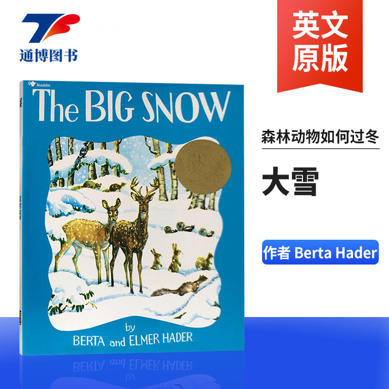 英文原版绘本大雪儿童科普读物