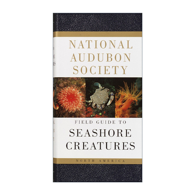 英文原版 National Audubon Society Field Guide to Seashore Creatures North America 全美奥杜邦协会北美海岸生物野外指南