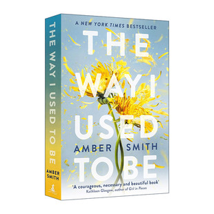 英文原版 The Way I Used to Be 曾经的我 青少年小说 Amber Smith 英文版 进口英语原版书籍